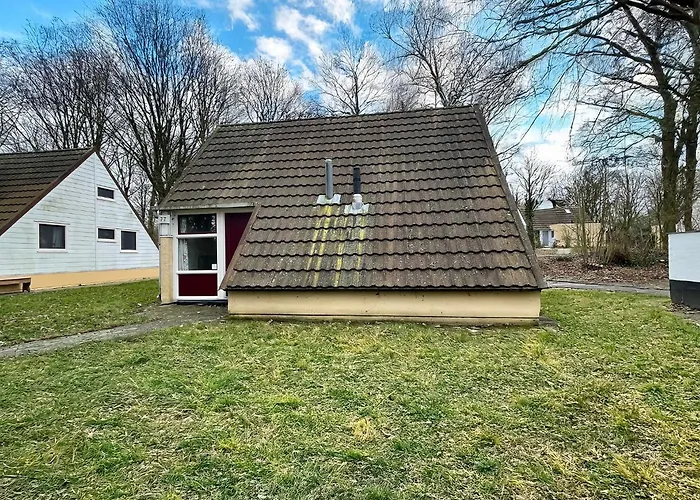 Bungalowpark - Alpha 77 Симпелвелд